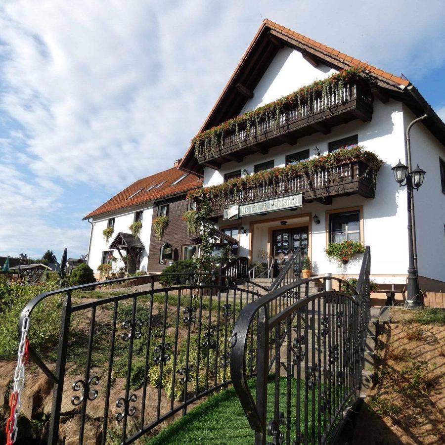Hotel-Pension Flechsig Hartmannsdorf bei Kirchberg Exteriör bild